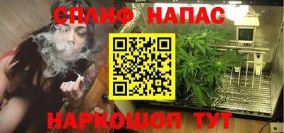 крисы Ставрополь