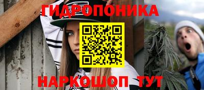 скорость Славгород