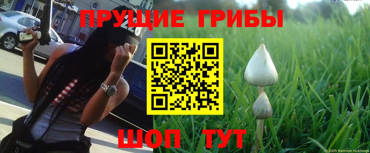 Псилоцибиновые грибы Cubensis  Вход с VPN  Нефтеюганск 